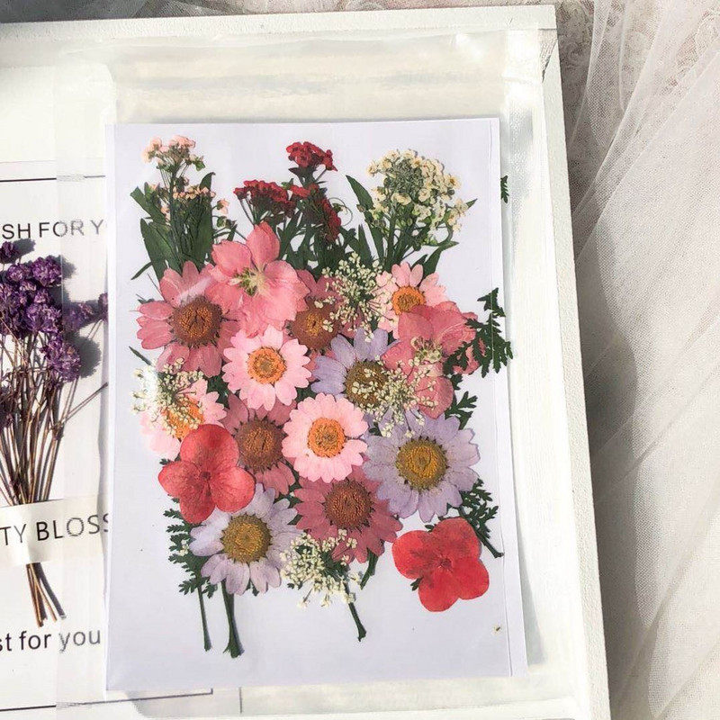 》脸贴花眼部妆装饰眼尾点缀仙女干花新娘尾妆妆容花瓣网红饰品脸|ruв категории Домашний быт, ваза/цветок/искусственные цветы/моделирование украшения, сушеные цветы/лепесток/сушеные цветы пакет/сухие ветки - от Buy2taobao.com для оказания профессиональной услуги покупки агента Taobao