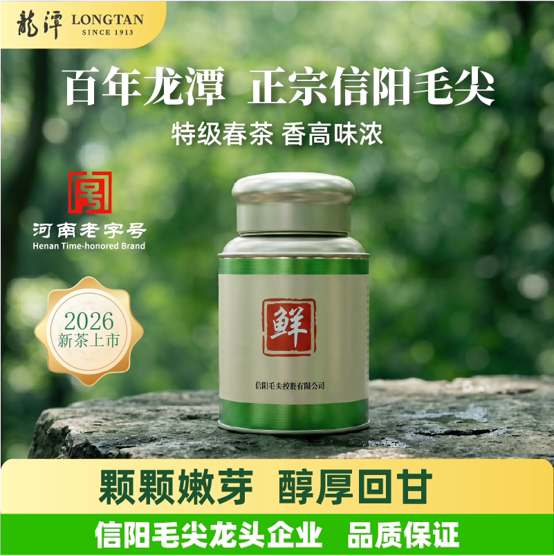 龙潭信阳毛尖绿茶2026新茶茶叶雨前嫩芽叶放心好茶250g鲜春茶上市 - 实物图