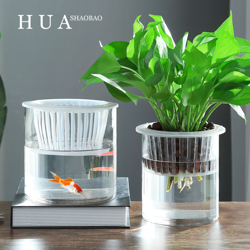 简约水培植物玻璃瓶透明直筒圆柱形花瓶绿萝白掌水养玻璃容器鱼缸