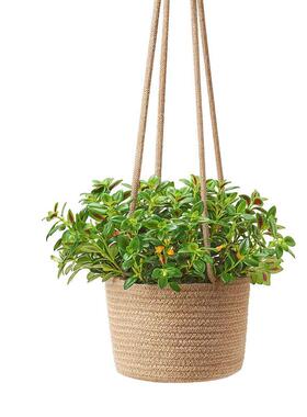 室内悬挂花盆编织植物篮高达17.78cm花盆植物挂钩现代收纳定制