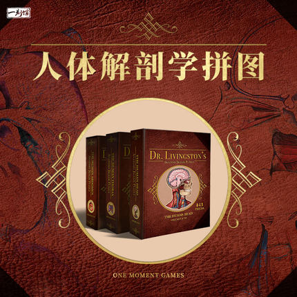 一刻馆桌游人体解剖学拼图趣味性游戏真实还原人体结构