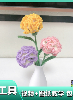 康乃馨勾线手工编织花束diy材料包毛线全套自制钩织情人节送礼物