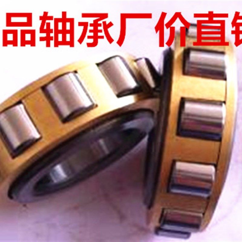 圆柱滚子轴承RN304 305 306 307 307 308 309 310 311 312 313