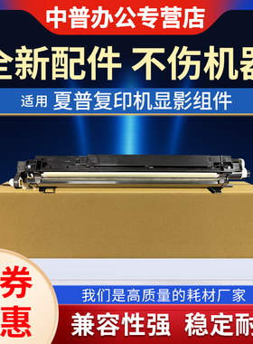 适用夏普BP C2021 C2521 C2522R SF S211 S265R BP-C2621R SF-S252R 显影组件 显影器 载体仓 显影仓 DV铁粉