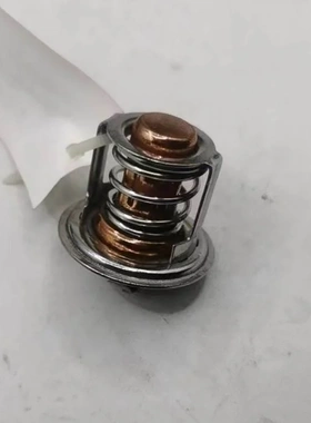 适用于25-39667-00 253966700节温器