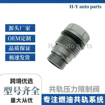 1110010018共轨压力限制阀1110010019 1110010022