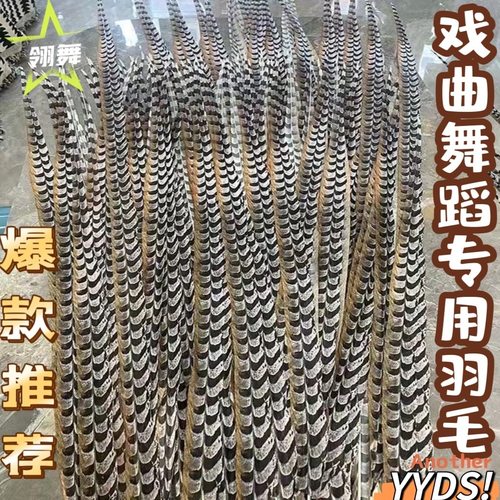 天然优质羽毛京戏翎子舞台道具