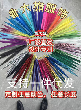 羽毛背板舞蹈翎子翎毛羽毛仿真羽毛京剧花旦头饰表演道具戏曲定制