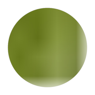 散装带壳燕麦种子 皮燕麦种子 雀麦 野麦子 燕麦草籽 野燕麦 包邮