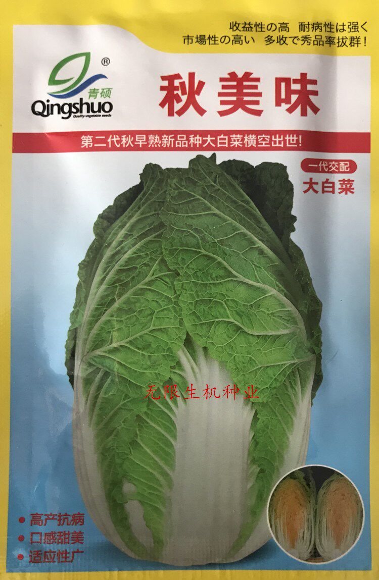 秋美味大白菜种子青硕早熟新品种大白菜籽农家四季大田用种孑包邮