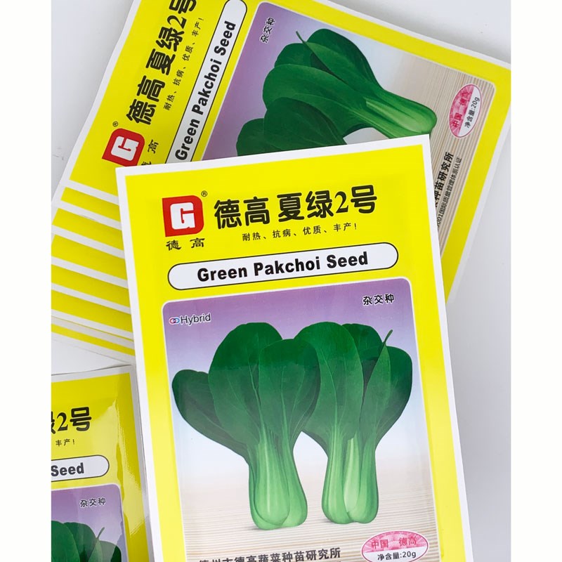 德高夏绿2号青梗菜青菜种籽高产耐热夏季束腰上海青青菜种子