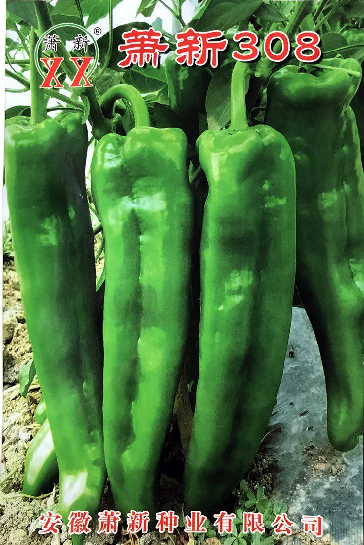 萧新308皇贵妃辣椒种子绿皮黄皮大牛角椒种籽四季高产大果辣椒籽