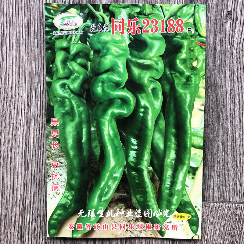 螺丝椒种籽 23188大果辣椒种子高产抗病耐低温抗高温薄皮椒孑