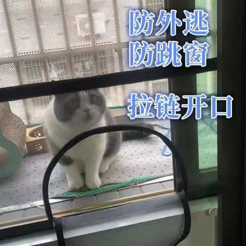 防蚊网纱窗防猫咪跳窗封窗纳米纱网挡猫跳楼神器免打孔防猫外逃跑