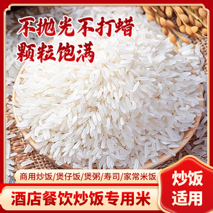 金特莱香米10kg稻香米20斤大米超长炒饭专用丝苗家常米饭煲仔饭