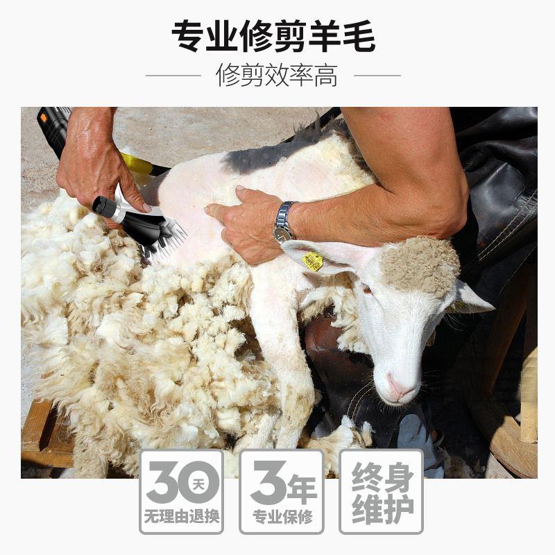 德国KOMAX羊毛推子电动剪毛机大功率剃羊毛剪子剪羊毛的电推子剪