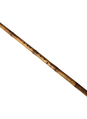 玉屏箫笛 洞箫紫竹古朴素雅款初学专业演奏萧乐器正反手可定制箫