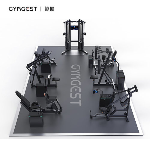 GYMGEST商用健身器材小飞鸟