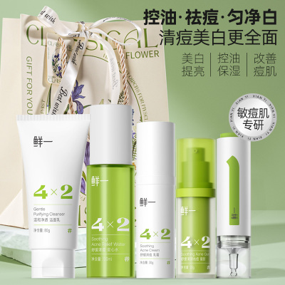 鲜一377美白水乳护肤品套装礼袋