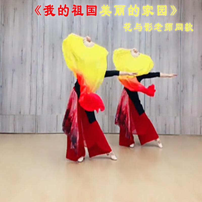 花与影同款舞蹈扇子广场舞专用