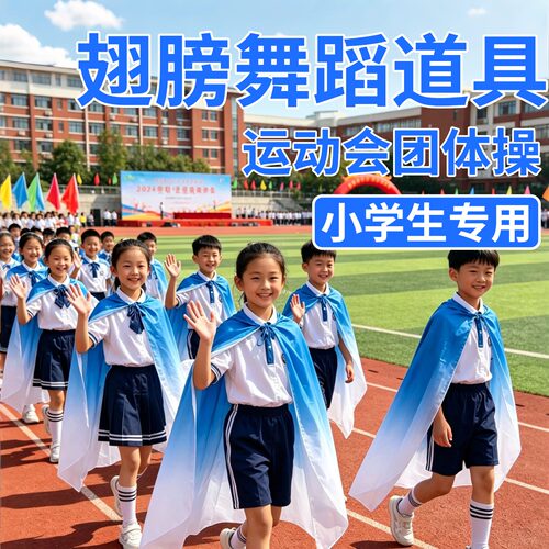 小学生运动会表演专用翅膀道具