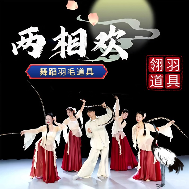 两相欢同款翎羽羽毛道具