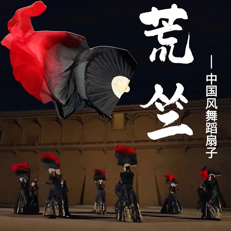 荒竺中国风古风舞蹈扇子长飘