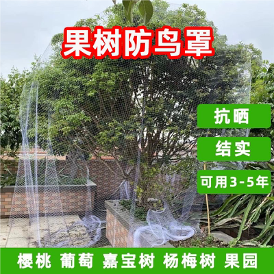【果树防鸟罩】专网农用防鸟丝网