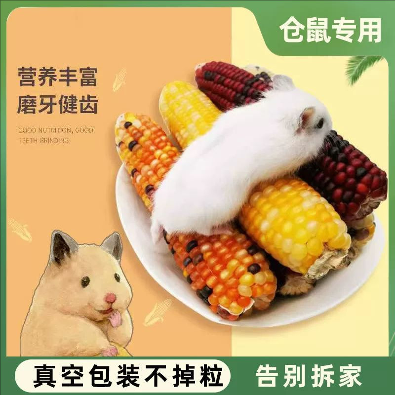 仓鼠磨牙棒粮零食小玉米荷兰猪龙猫金丝熊花枝鼠食物造景玩具大全