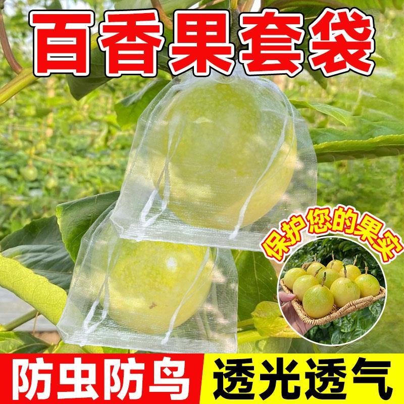 百香果套袋防虫专用葡萄苹