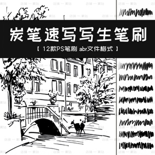 炭笔素描线稿PS笔刷 速写写生排线草图起稿 手绘描边勾线黑白素材