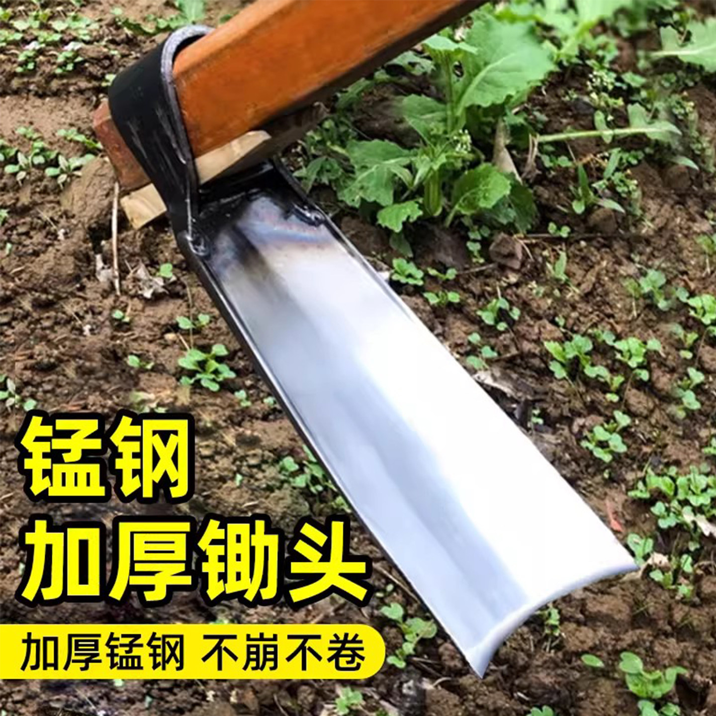 锄头种菜家用铁锹两用高猛钢锄头种地工具农具镢头农用助撅头刨地图片