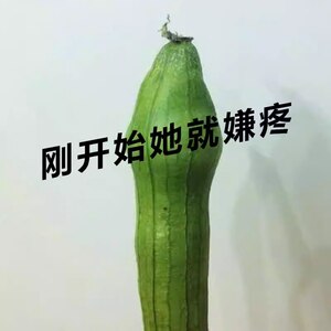 卖断货了，用了让ta【迫不及待！】花样百出~ 数量有限