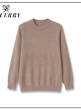 【潘文青专属】EQ男装净版圆领长袖套头100绵羊毛毛衣-M478