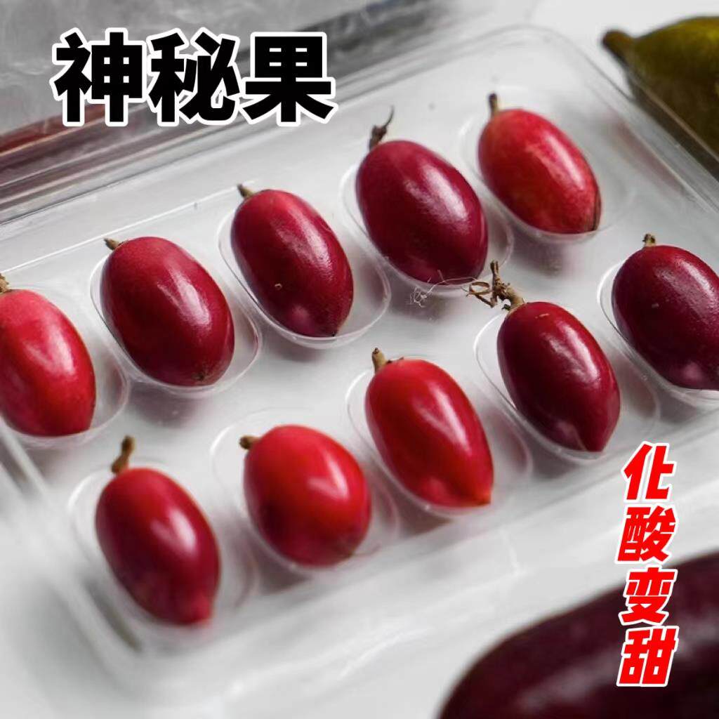 神秘果12粒新鲜水果神奇果变味果应当季酸变甜稀罕见鲜果整箱包邮