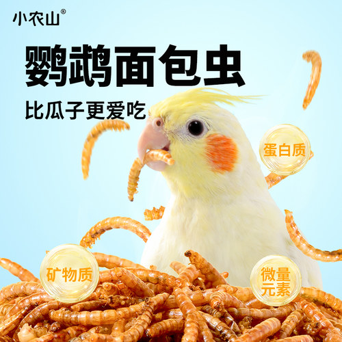 小农山鹦鹉面包虫干可兑5斤饲料