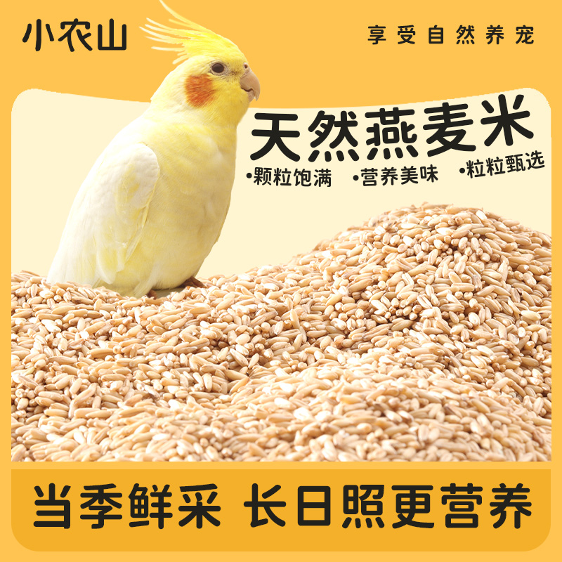 小农山鹦鹉燕麦米鸟粮饲料当季粮