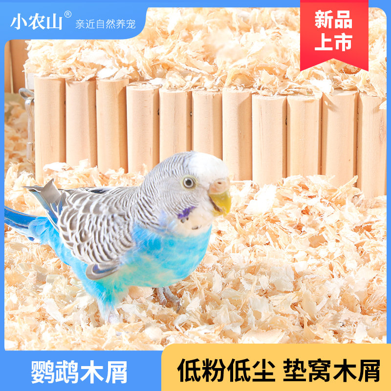 鹦鹉专用木屑刨花f垫料繁殖箱鸟窝雏鸟幼鸟除臭粪便垫纸屎垫用品,宠物/宠物食品及用品,鸟禽其他,淘宝优惠券,粉丝福利购,淘宝优惠卷