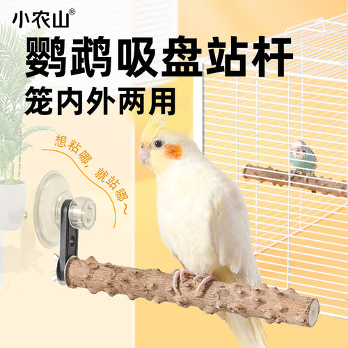 鹦鹉吸盘两用花椒木站杆笼外玩耍