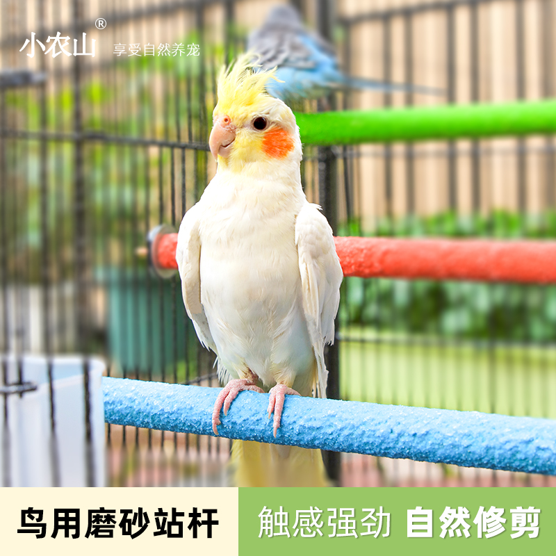 鹉磨爪棒磨砂站杆站棍架磨牙磨嘴