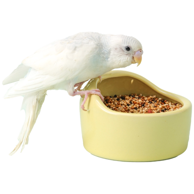 鹦鹉陶瓷食盒喂食器饮水器鸟食罐