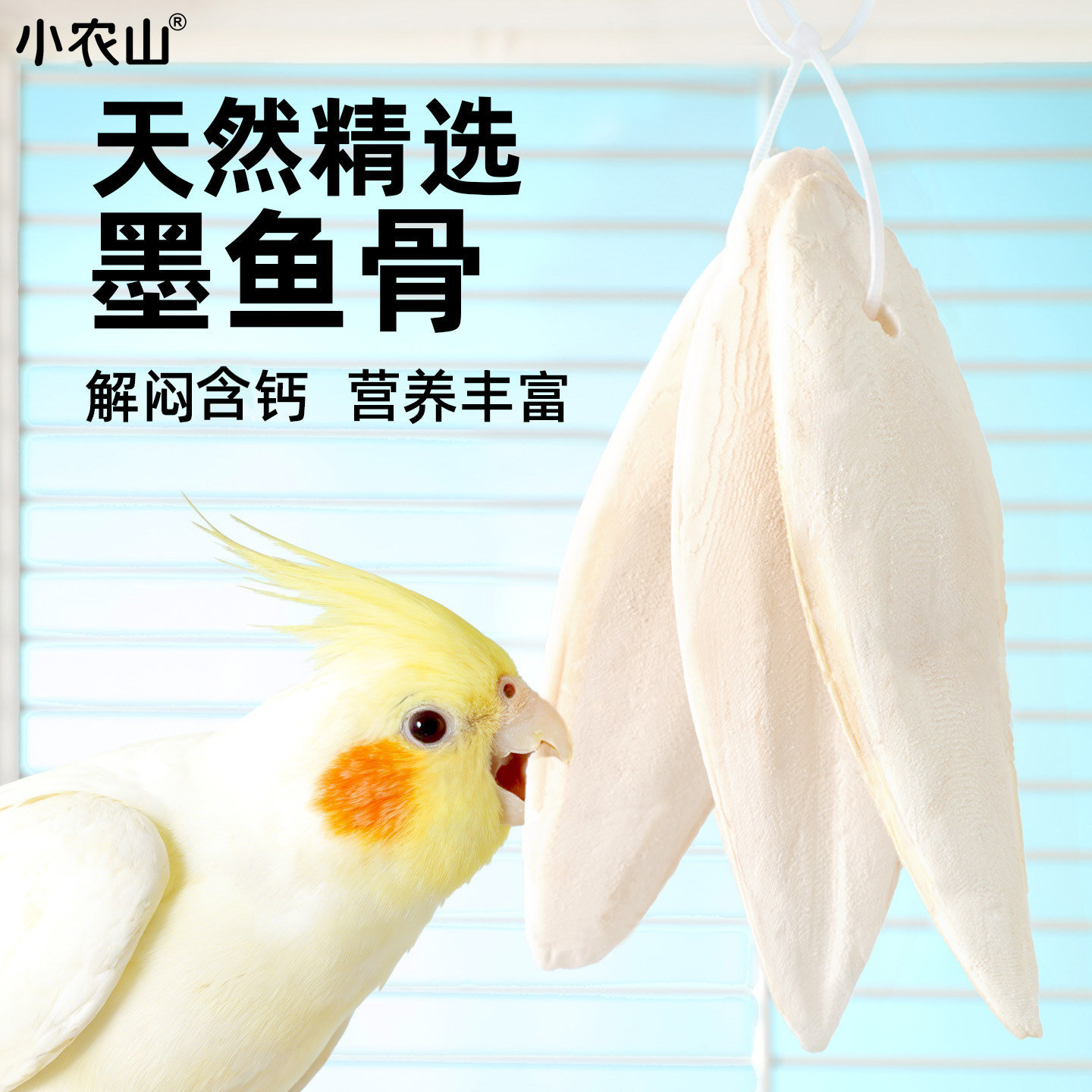 鹦鹉专用墨鱼骨补钙磨牙超大片