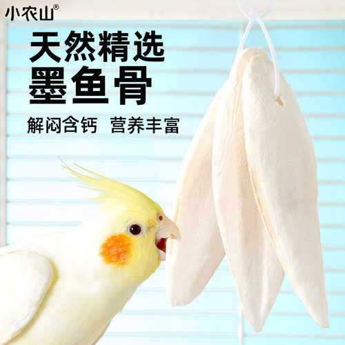 鹦鹉专用墨鱼骨补钙磨牙超大片