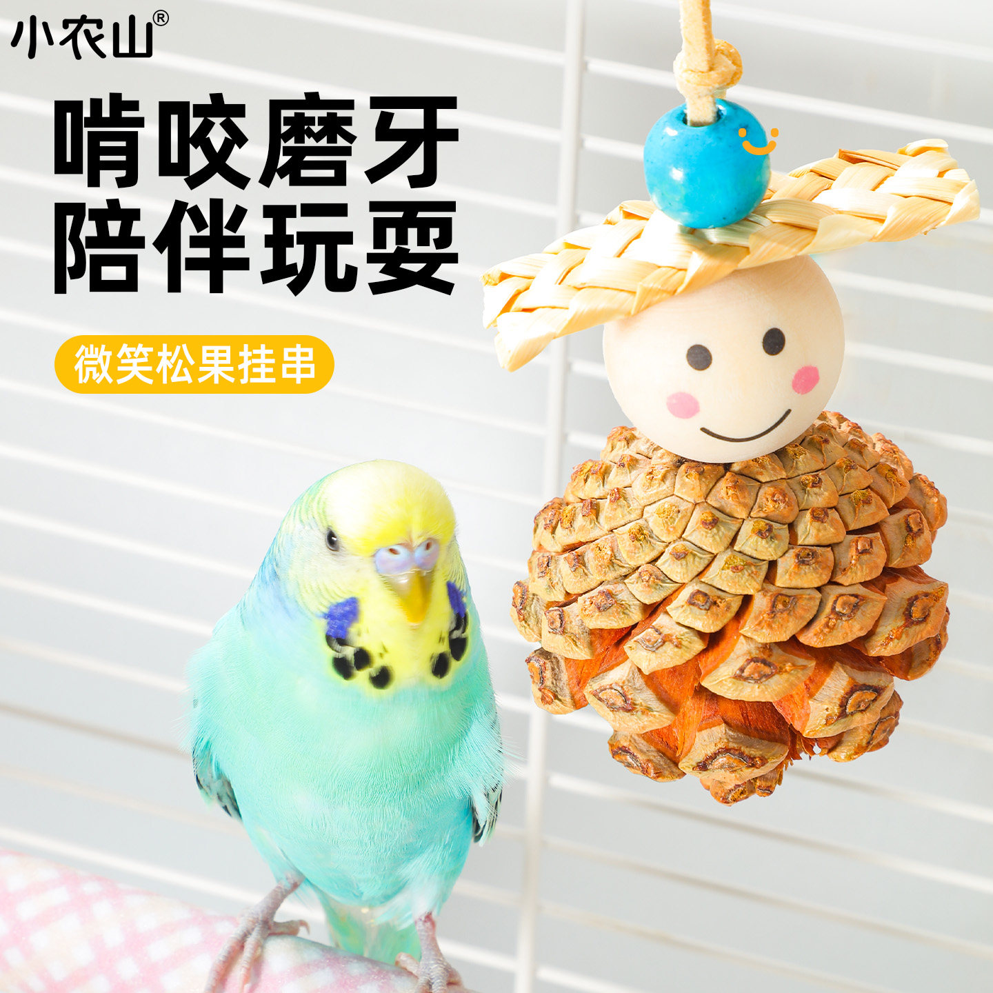 鹦鹉松果啃咬玩具晴天娃娃装饰图片