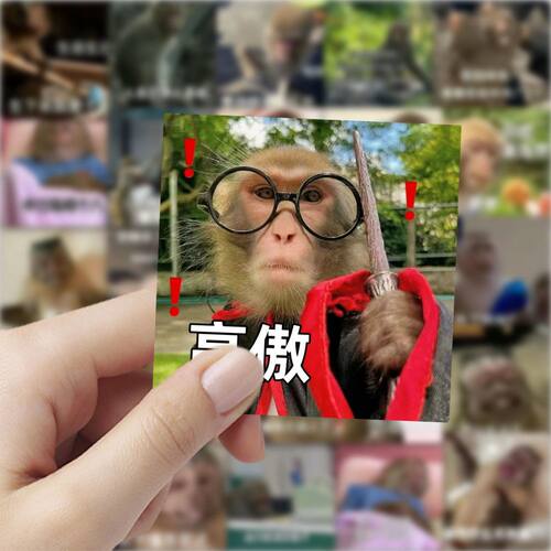177张吗喽表情包猴子贴纸