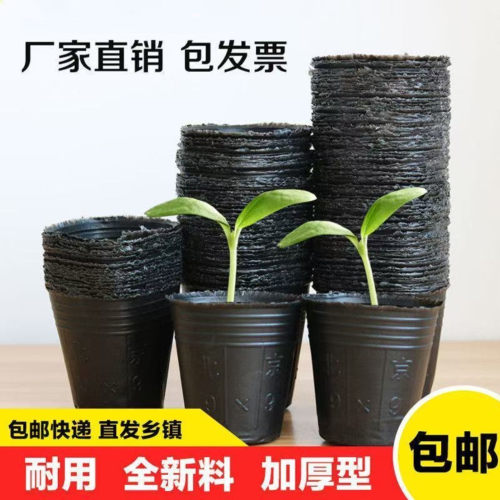 加厚育苗盆黑色花果育苗盘纸钵育苗神器保温绿植葡萄育苗杯40x35
