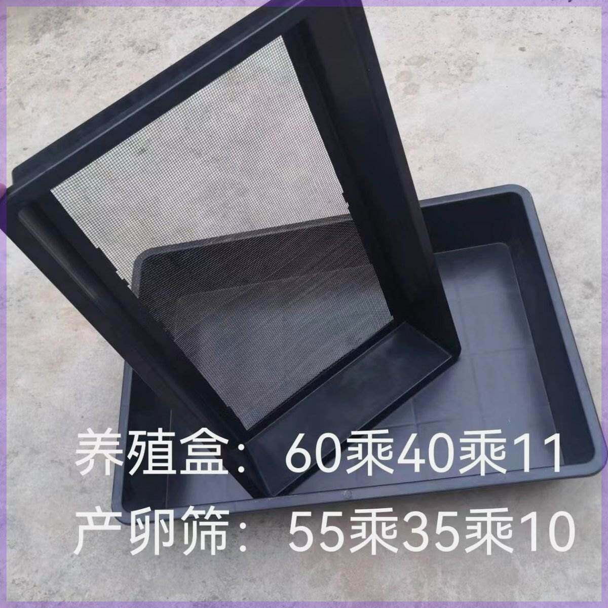 黄粉虫蛋白虫专用产卵筛使用更方便筛工厂直销披发