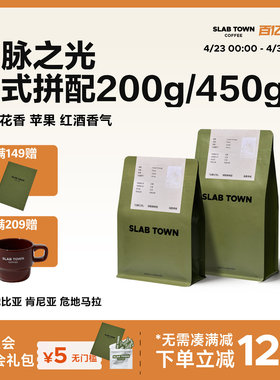 SLAB TOWN山脉之光 浅烘意式拼配 肯尼亚美式精品黑咖啡豆粉450g