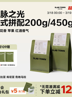 SLAB TOWN山脉之光 浅烘意式拼配 肯尼亚美式精品黑咖啡豆粉450g