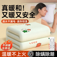 2025新款电热毯单双人电褥子双人双控调温学生宿舍正品官方旗舰店